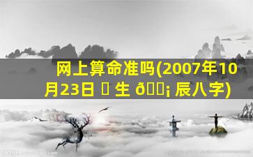 网上算命准吗(2007年10月23日 ☘ 生 🐡 辰八字)
